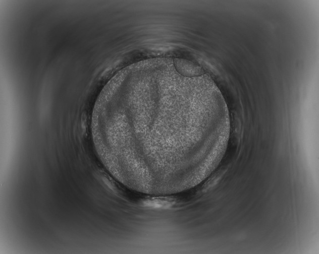 X0000086280758200704191946