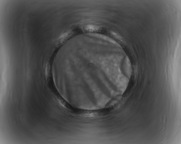 X0000086280760200704191946