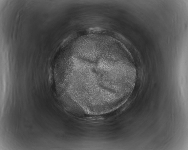 X0000086280761200704191946