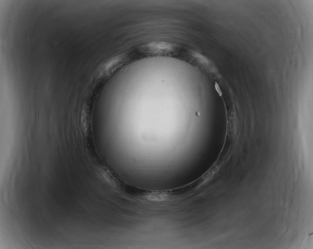 X0000086280762200704191946