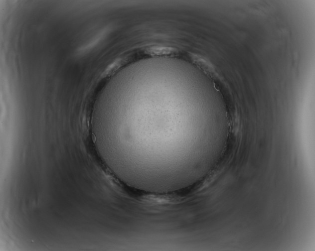 X0000086280763200704191946