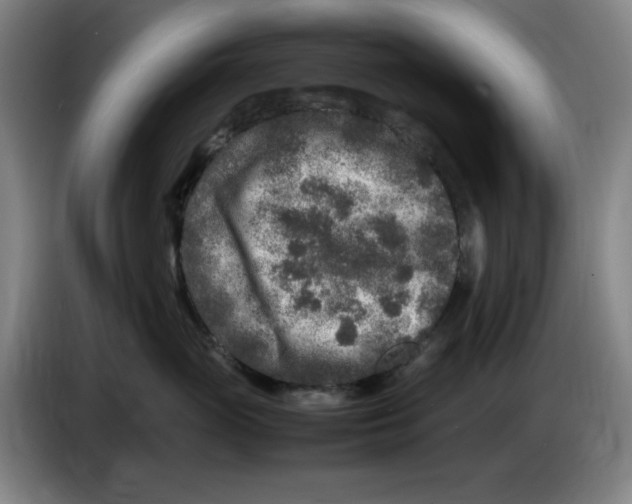 X0000086280765200704191946