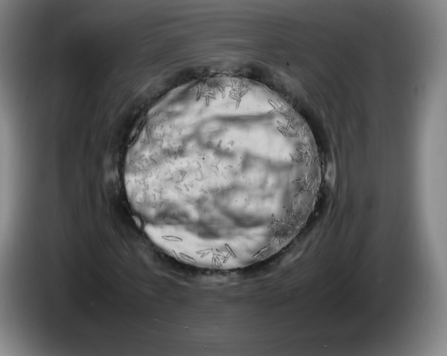 X0000086280771200704191945