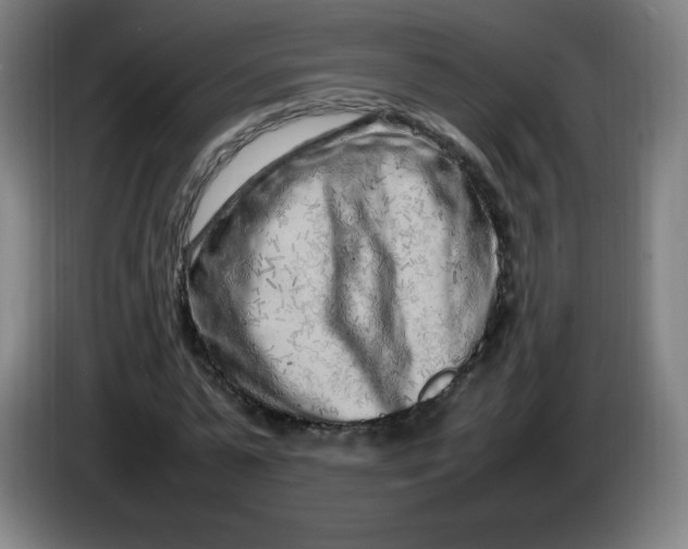 X0000086280775200704191945