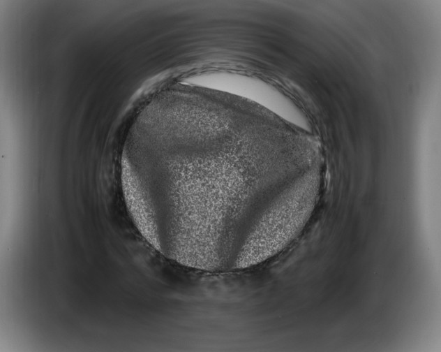 X0000086280776200704191945