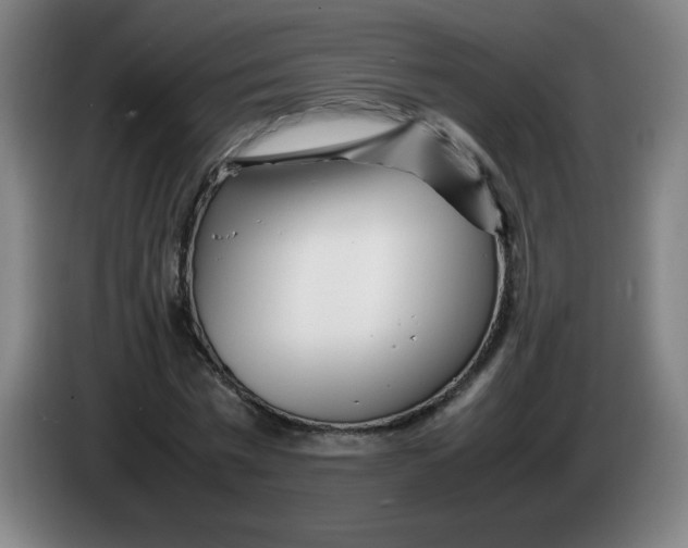 X0000086280777200704191945