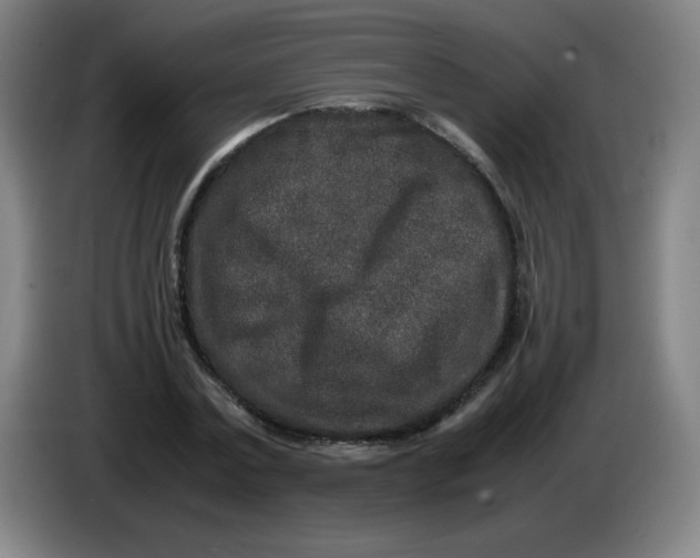 X0000086280779200704191945