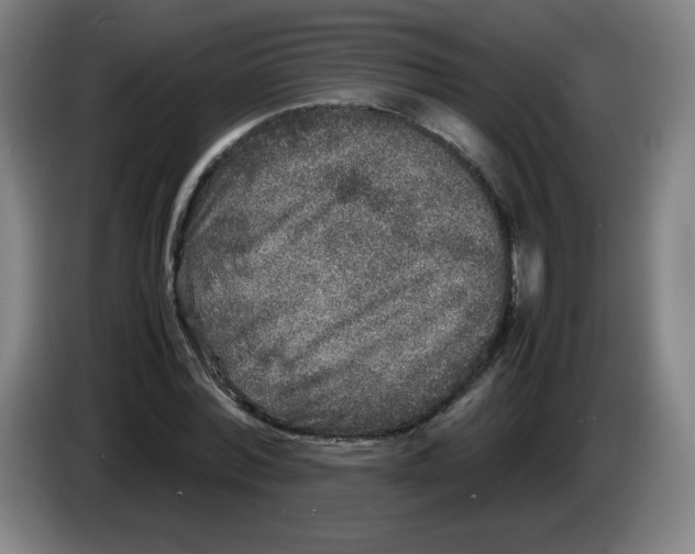 X0000086280780200704191945