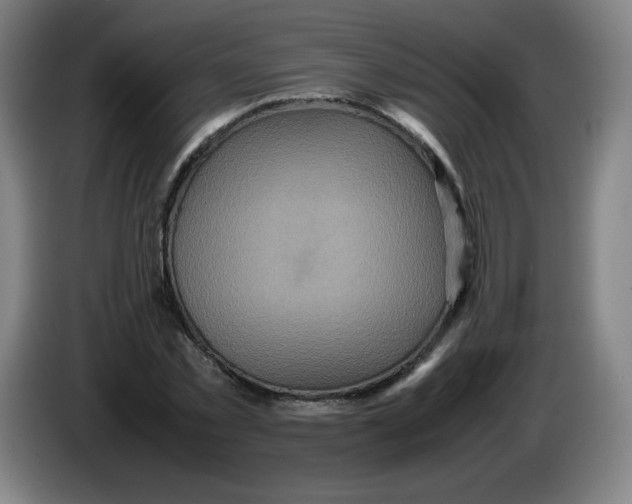 X0000086280781200704191945