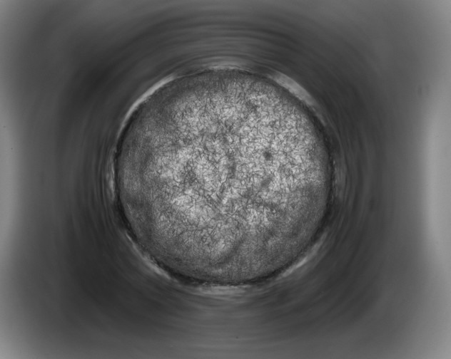 X0000086280782200704191945