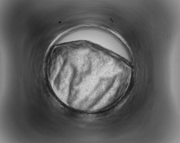 X0000086280783200704191945