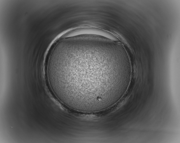 X0000086280784200704191945