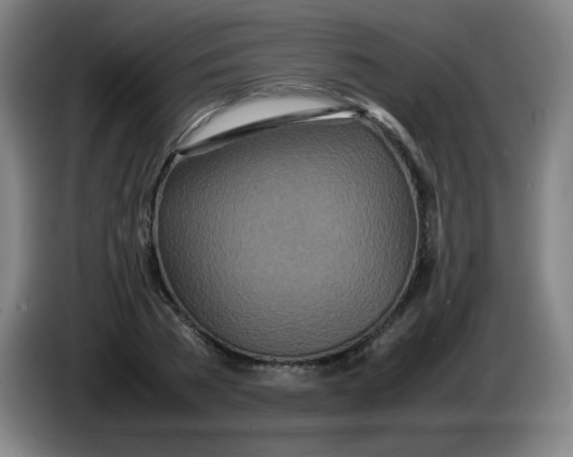 X0000086280785200704191945