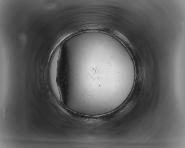 X0000086280786200704191945