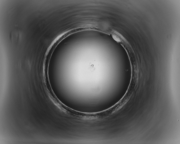 X0000086280788200704191945