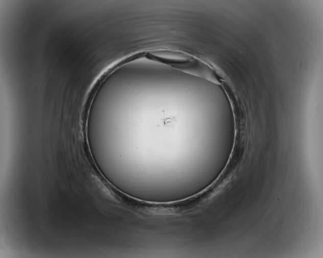 X0000086280789200704191945