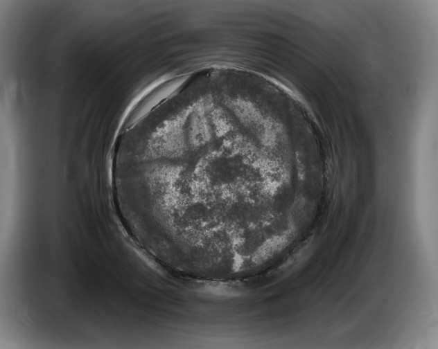 X0000086280790200704191945