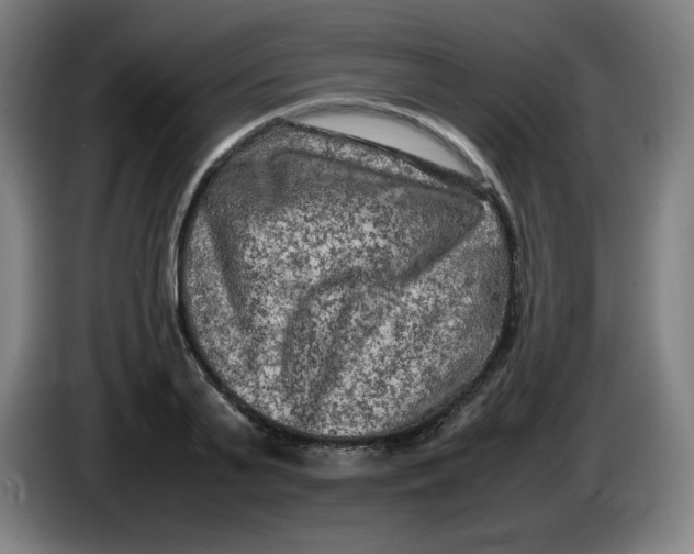 X0000086280791200704191945