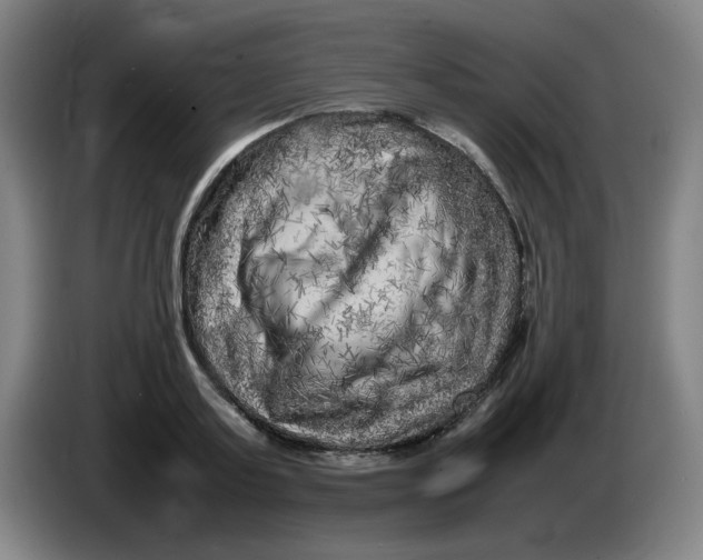 X0000086280795200704191945