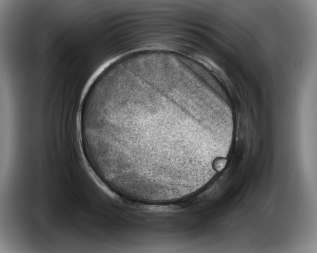 X0000086280796200704191945