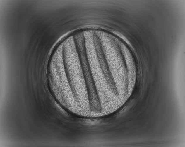 X0000086280799200704191945