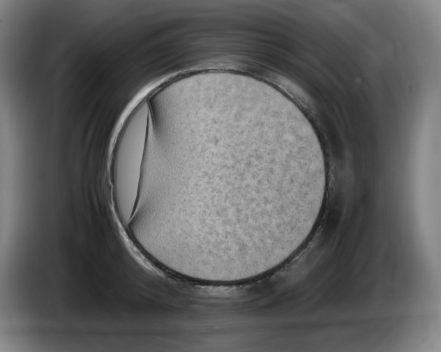 X0000086280800200704191945