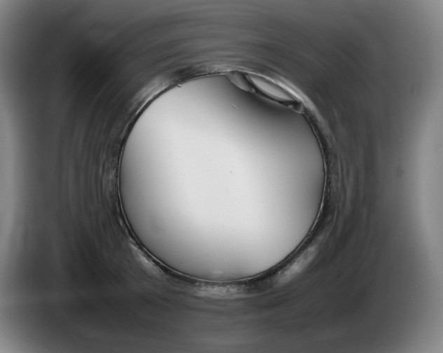 X0000086280801200704191945