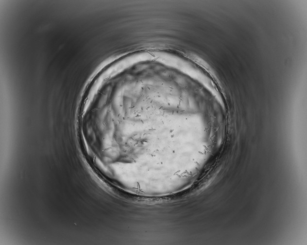 X0000086280803200704191945