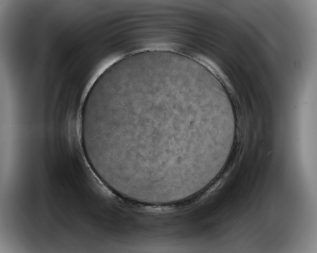 X0000086280804200704191945