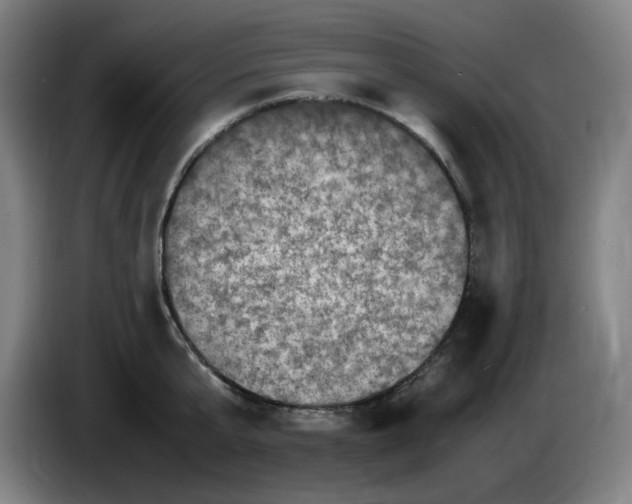 X0000086280807200704191945