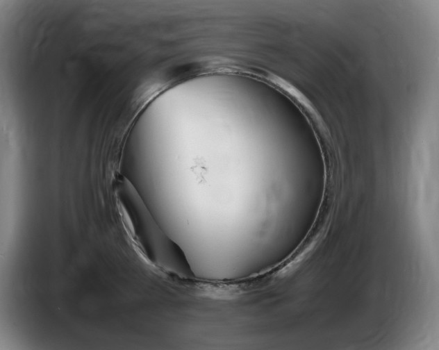 X0000086280809200704191945