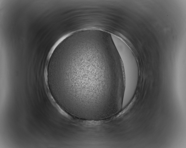 X0000086280812200704191945