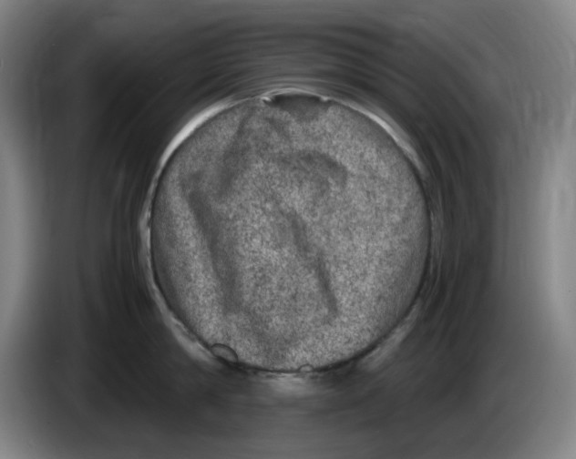 X0000086280814200704191945