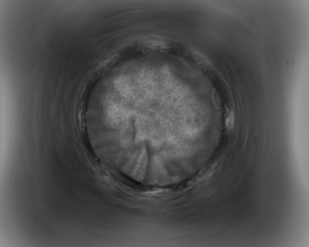 X0000086280819200704191944