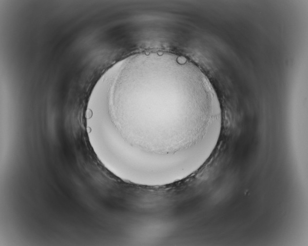 X0000086280820200704191944