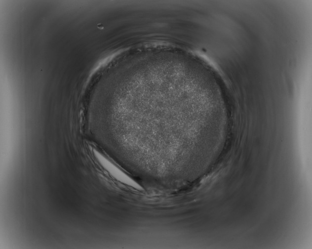 X0000086280823200704191944