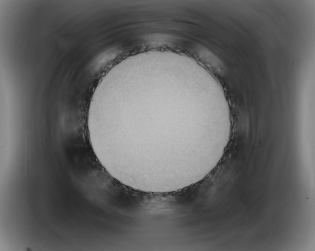 X0000086280824200704191944