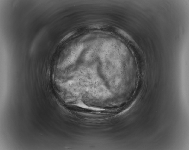 X0000086280825200704191944