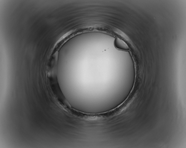 X0000086280826200704191944