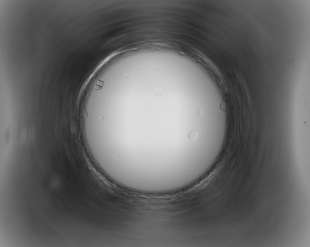 X0000086280828200704191944