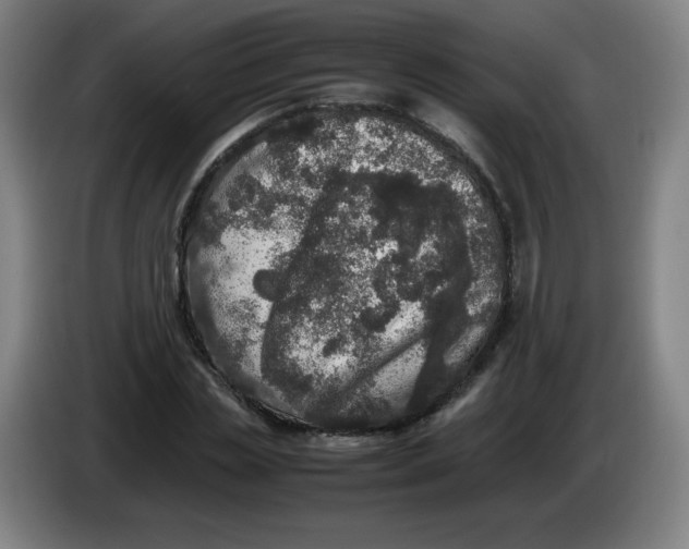 X0000086280829200704191944