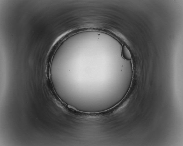 X0000086280830200704191944