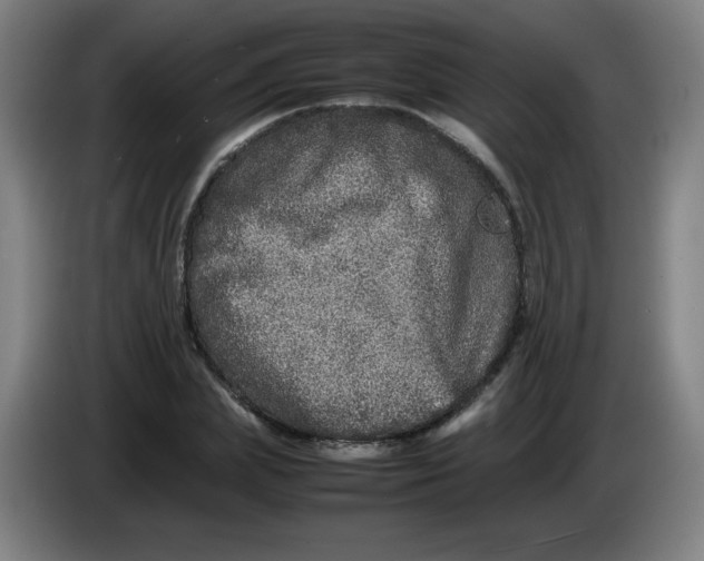 X0000086280831200704191944