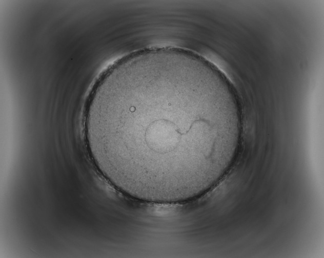 X0000086280832200704191944