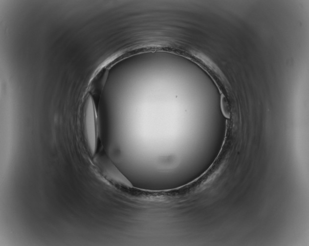 X0000086280834200704191944