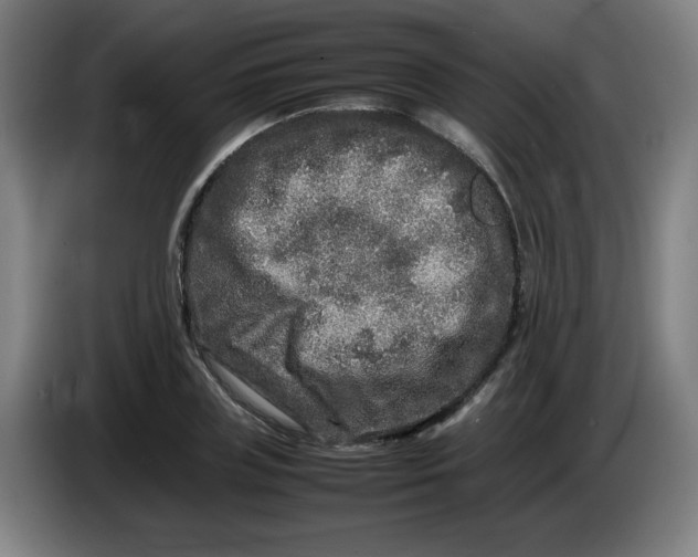 X0000086280835200704191944