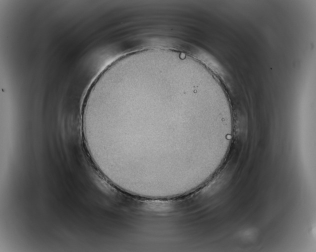 X0000086280836200704191944