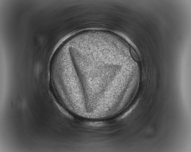 X0000086280837200704191944