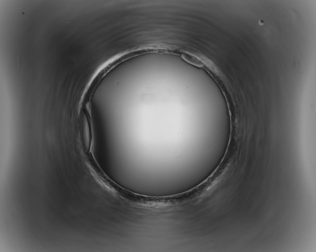 X0000086280838200704191944