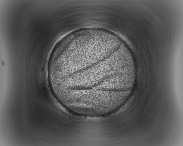 X0000086280840200704191944